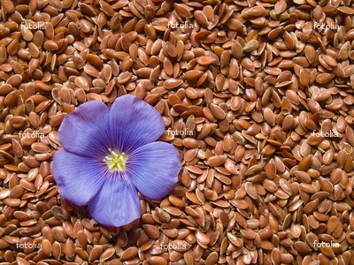 clip_image001